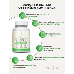 Пробиотики и ферменты для кишечника в капсулах