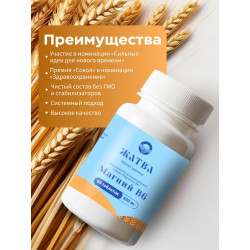 Магний_В6
